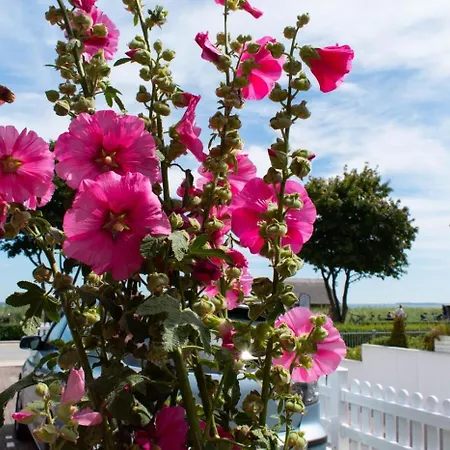 Apartment App. 9 Haus Duckdalben Haffkrug